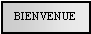 Text Box: BIENVENUE