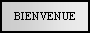 Text Box: BIENVENUE