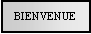 Text Box: BIENVENUE