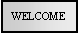 Text Box: WELCOME