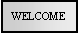 Text Box: WELCOME